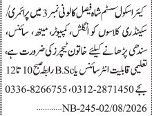 Care School System Jobs 2026 Teaching Staff Required