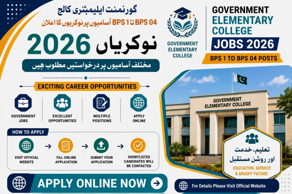 Government Elementary College Sindh Jobs