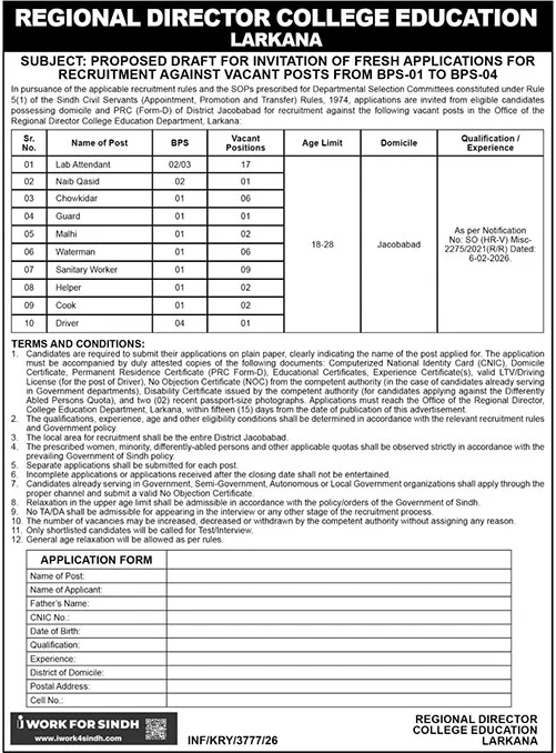 College Education Department Jobs 2026 Apply Now